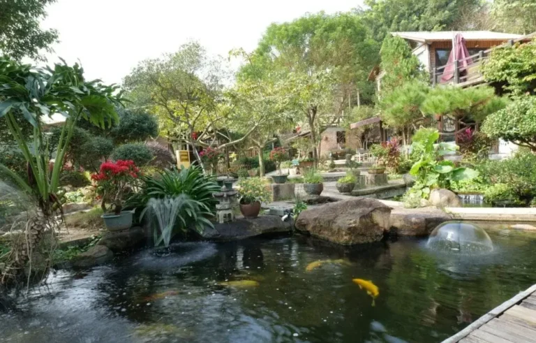 From Garden to Balcony How a Solar Panel Fountain Pump Brings Zero-Energy Water Features to Life