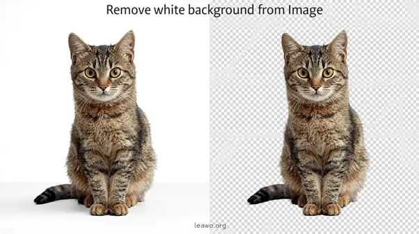 How to Remove White Background from Image?