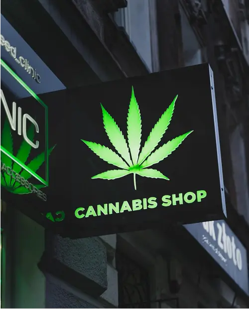 Cannabis Buying Rules for Beginners What You Should Know